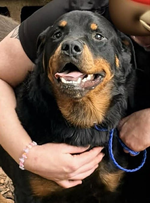 BUBBA