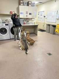 Dudley - Photo 3