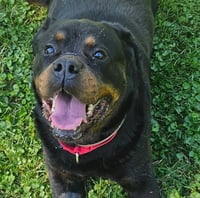 Coco - Photo 1