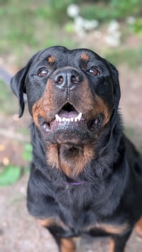 Daisy Duke - Photo 1