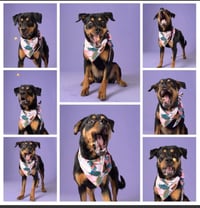 Ruthie - Photo 5