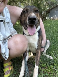 Brother-courtesy post - Photo 1