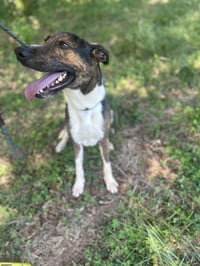 Brother-courtesy post - Photo 2