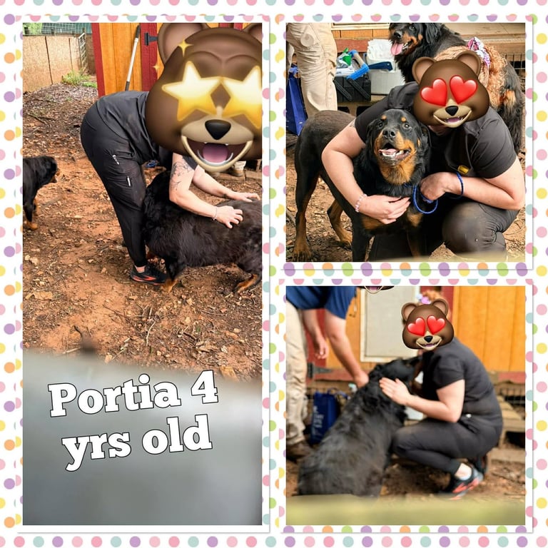 Portia Image