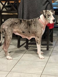 Abby Coco - Photo 4
