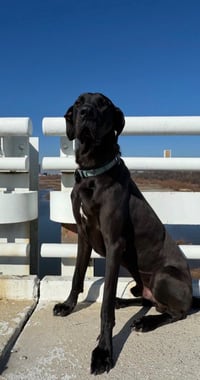 Drogi - Photo 1
