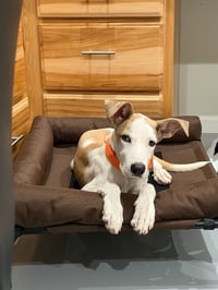Dana - Photo 3