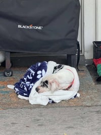 Hope - Photo 3