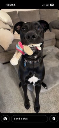 Sully - Photo 4