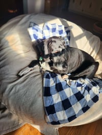 Caden - Photo 2