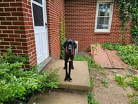 Rocky - Photo 3
