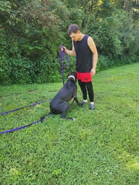 Dante - Photo 4
