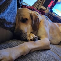Luna Mae - Photo 3
