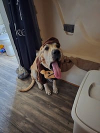 Luna Mae - Photo 4