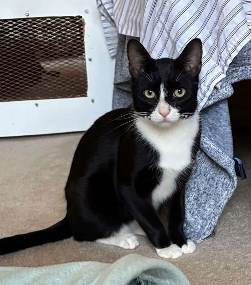 Jay and Kay - Photo 3