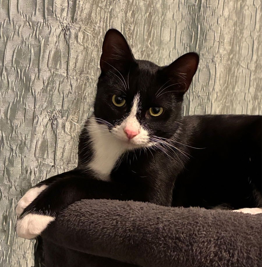 Jay and Kay - Photo 4