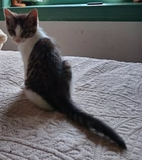 Carl - Photo 1