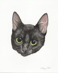 Rocket - Photo 8