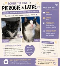 Pierogie - Photo 2