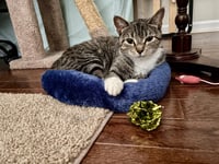 Squeaky - Photo 3