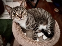 Squeaky - Photo 4