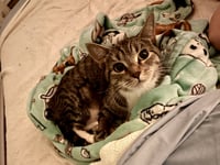 Squeaky - Photo 4