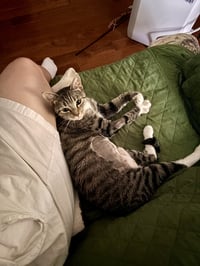 Squeaky - Photo 3