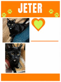 Jeter - Photo 2