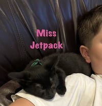 Miss Jetpack - Photo 2