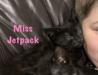 Miss Jetpack - Photo 3