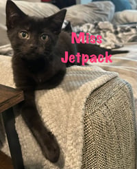 Miss Jetpack - Photo 4