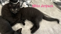 Miss Jetpack - Photo 5