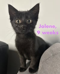 Jolene - Photo 2