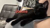 Jolene - Photo 5