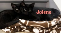 Jolene - Photo 4