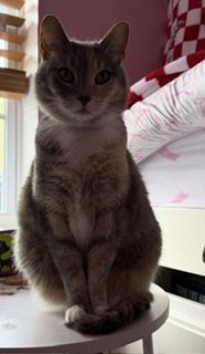 Cassie (bonded with Vader) - Photo 6
