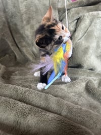 Fiona - Photo 1
