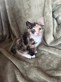 Fiona - Photo 3