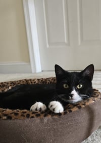 Fred - Photo 2