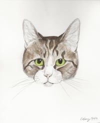 Lucky R - Photo 8