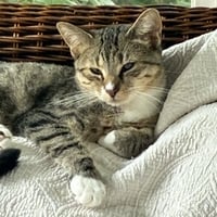 Darla - Photo 6