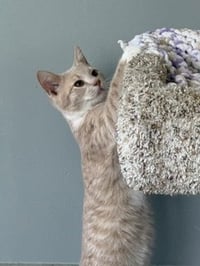 Oliver P - Photo 2