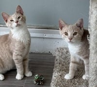 Oliver P - Photo 4