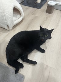 Salem - Photo 4