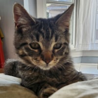 Tigger R - Photo 2