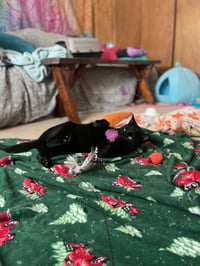 December - Photo 9