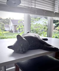 Gypsy (Sweet and Sophisticated) - Photo 5
