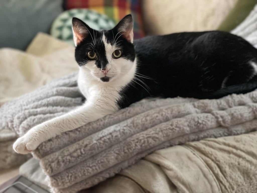 Emily Image