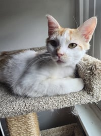 Milo K - Photo 6