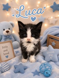 Luca - Photo 1